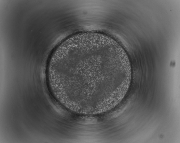 X0000102830443200809151043