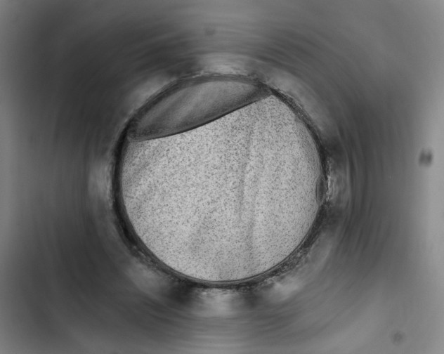 X0000102830444200809151043