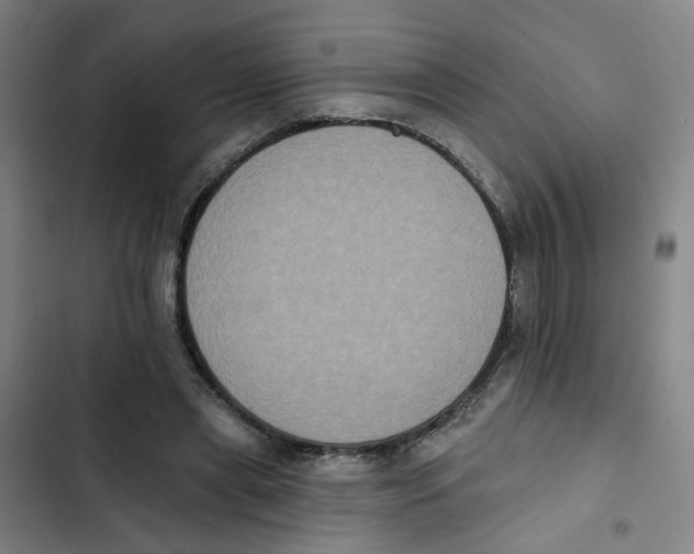 X0000102830445200809151043