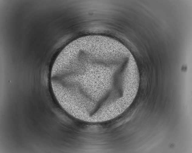 X0000102830446200809151043