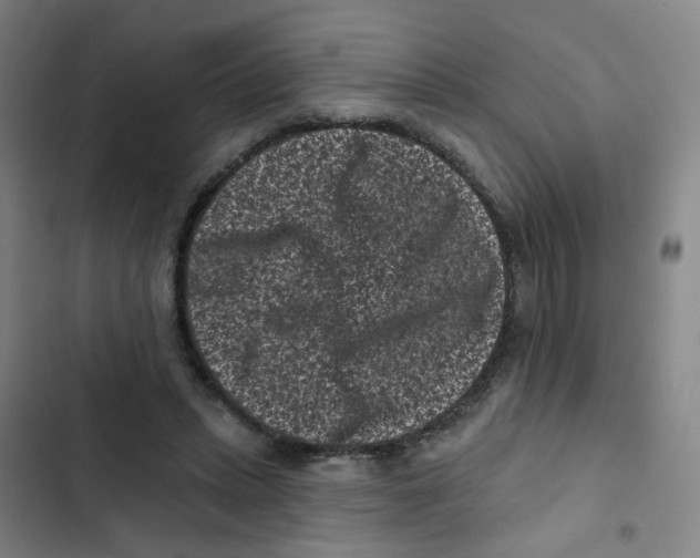 X0000102830447200809151043