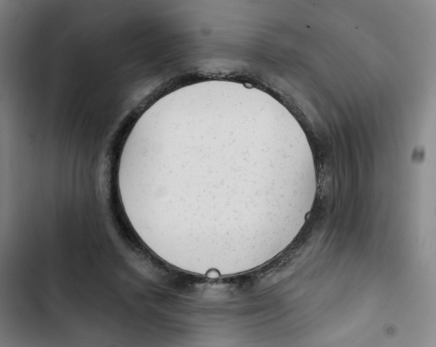 X0000102830448200809151043