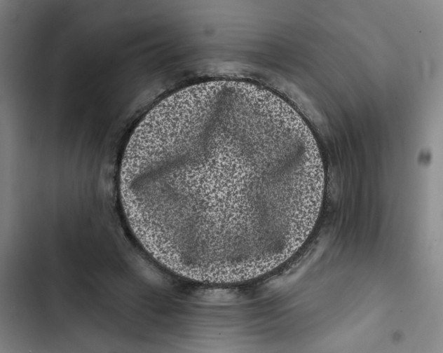 X0000102830449200809151043
