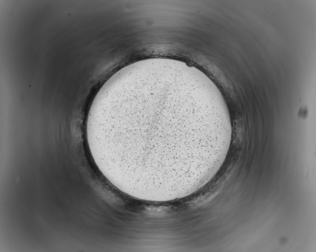X0000102830450200809151043