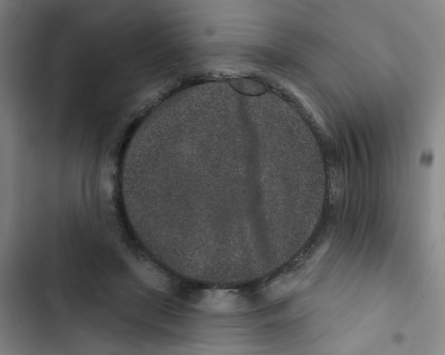 X0000102830451200809151043