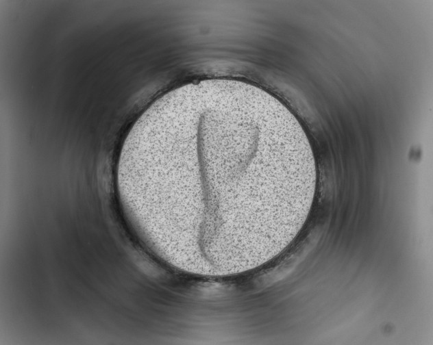 X0000102830453200809151043