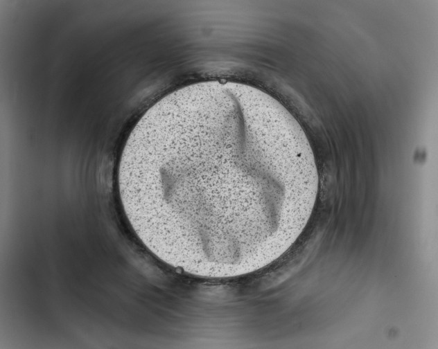 X0000102830454200809151043