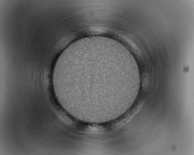 X0000102830455200809151043