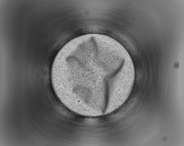 X0000102830457200809151043