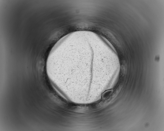X0000102830458200809151043