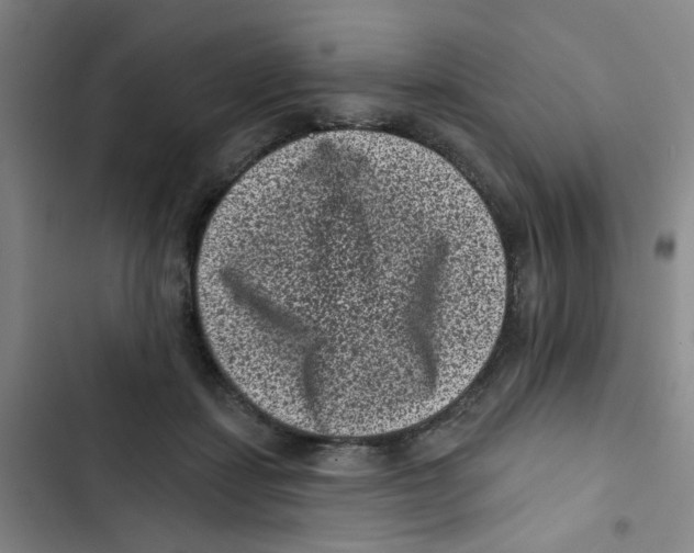 X0000102830459200809151043