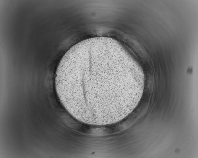 X0000102830461200809151043