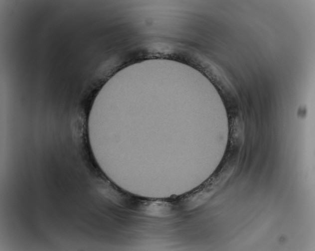 X0000102830463200809151044