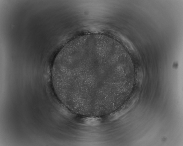X0000102830465200809151044