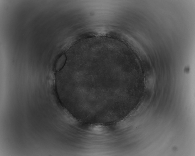X0000102830467200809151044