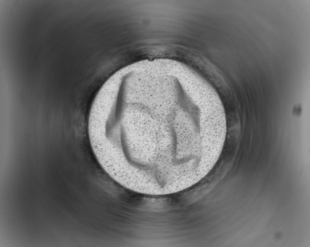 X0000102830469200809151044