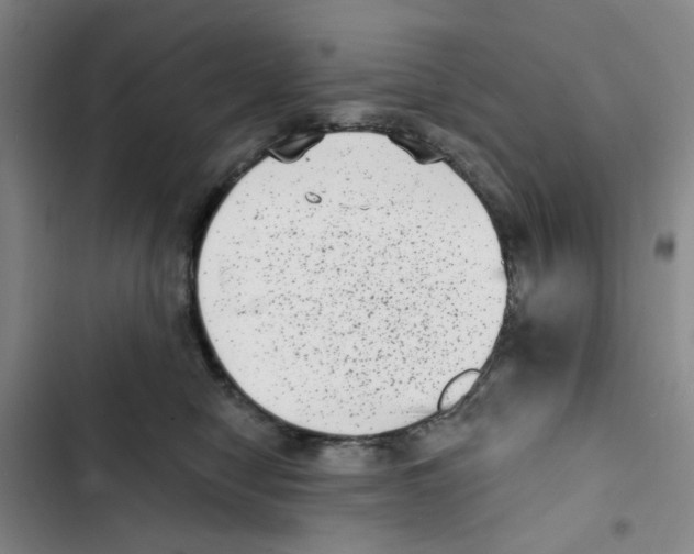 X0000102830470200809151044