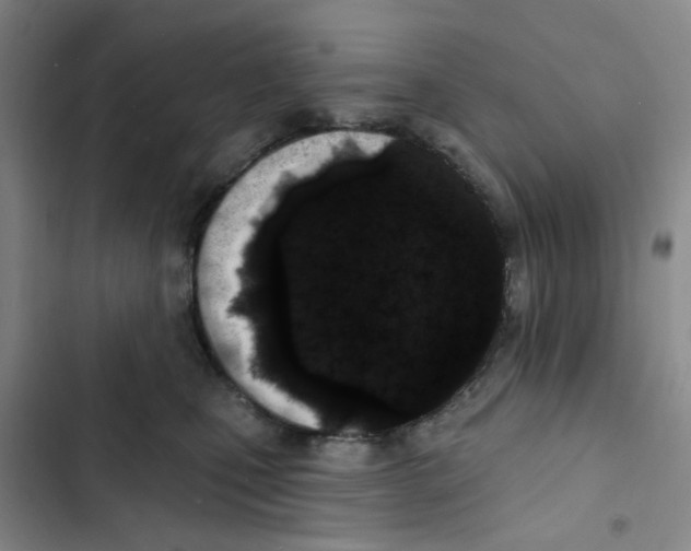 X0000102830471200809151044