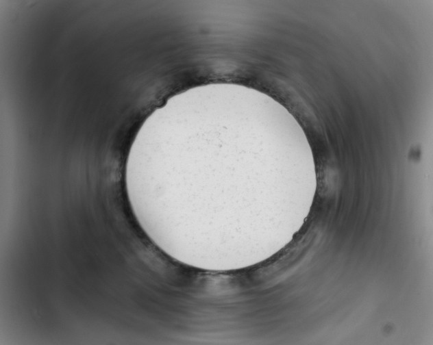 X0000102830472200809151044