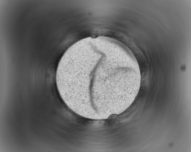 X0000102830474200809151044