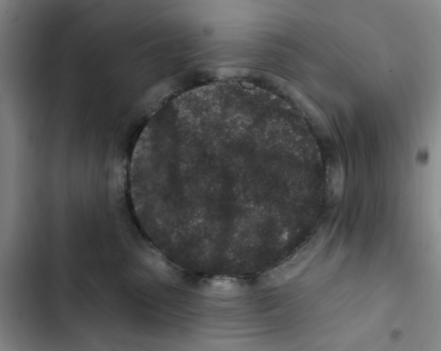 X0000102830475200809151044
