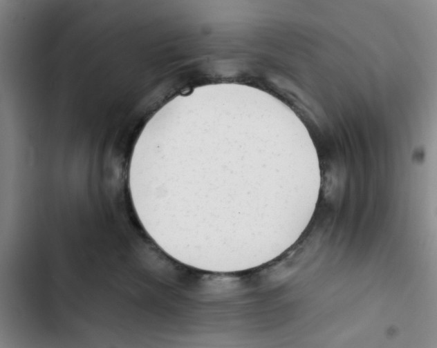 X0000102830476200809151044