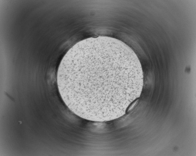 X0000102830478200809151044