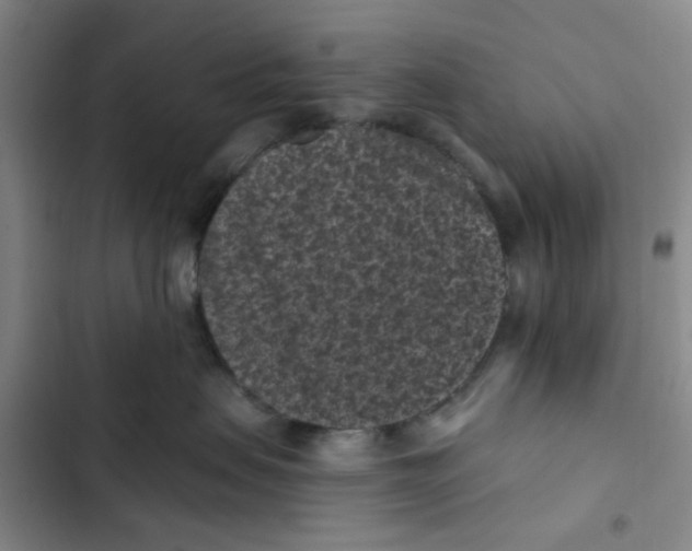 X0000102830479200809151044