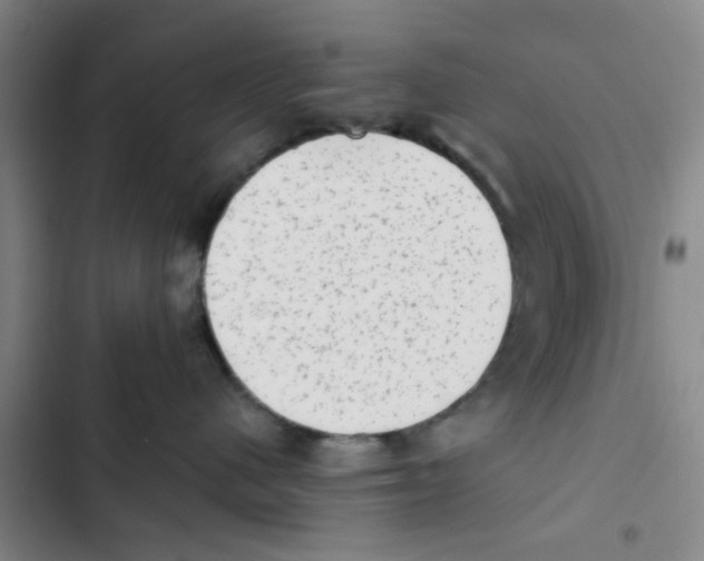 X0000102830480200809151044