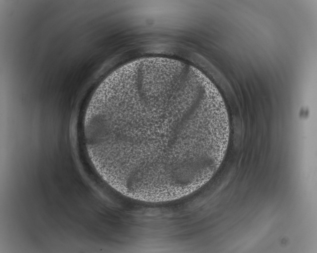 X0000102830482200809151043