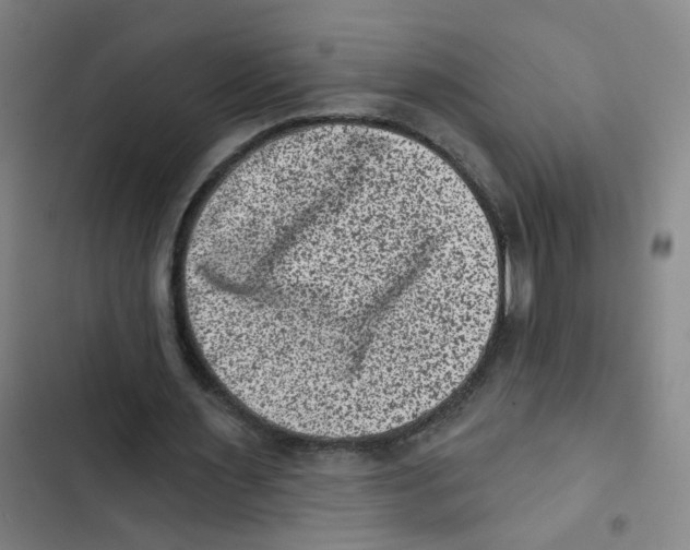 X0000102830483200809151043