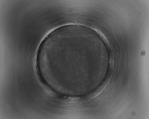 X0000102830484200809151043