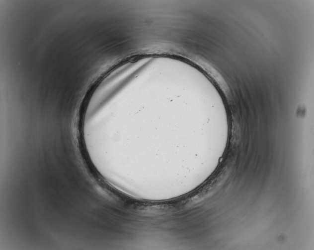 X0000102830485200809151043