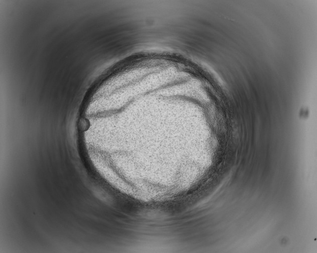 X0000102830487200809151043