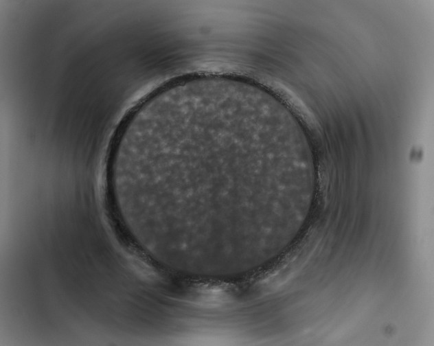 X0000102830488200809151043