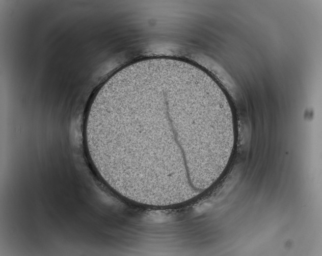 X0000102830489200809151043