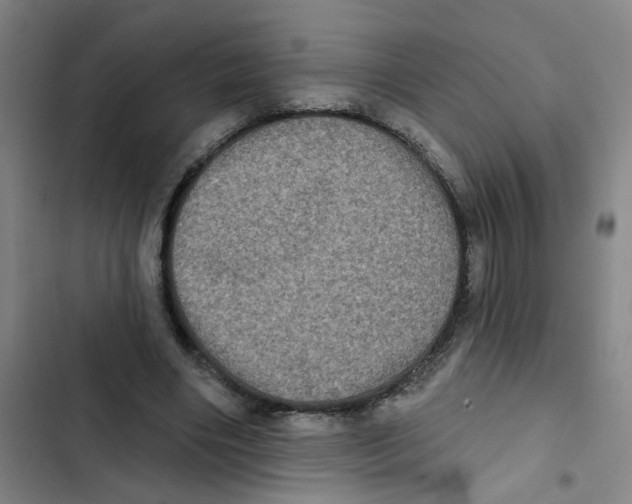 X0000102830490200809151043