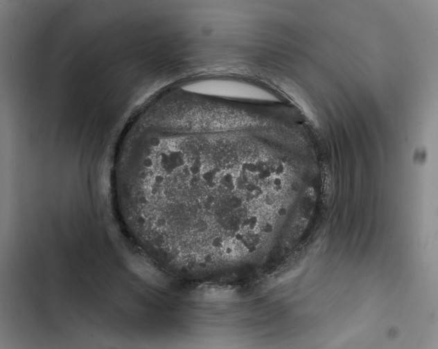 X0000102830491200809151043