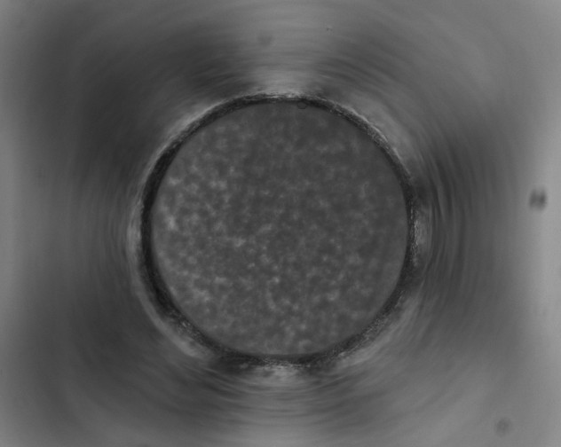X0000102830492200809151043