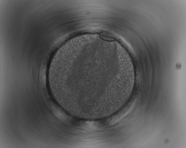X0000102830493200809151043