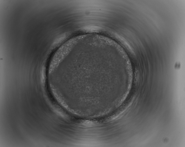 X0000102830494200809151043