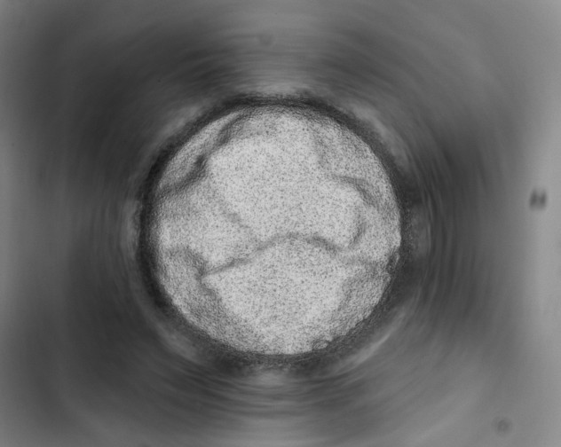 X0000102830495200809151043