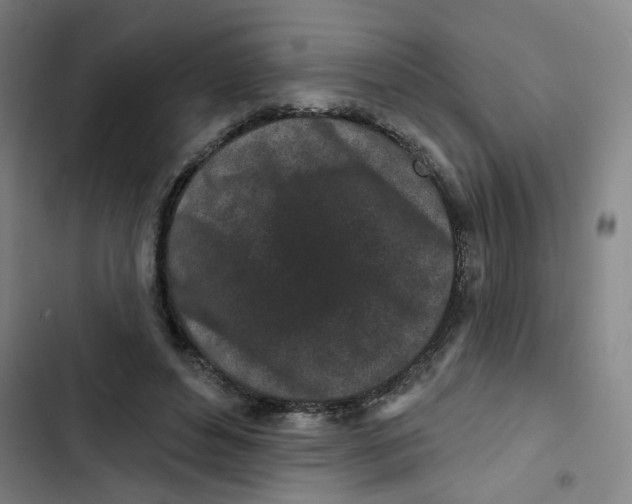 X0000102830496200809151043
