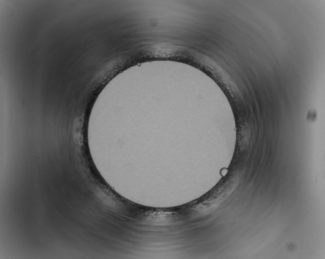 X0000102830497200809151043