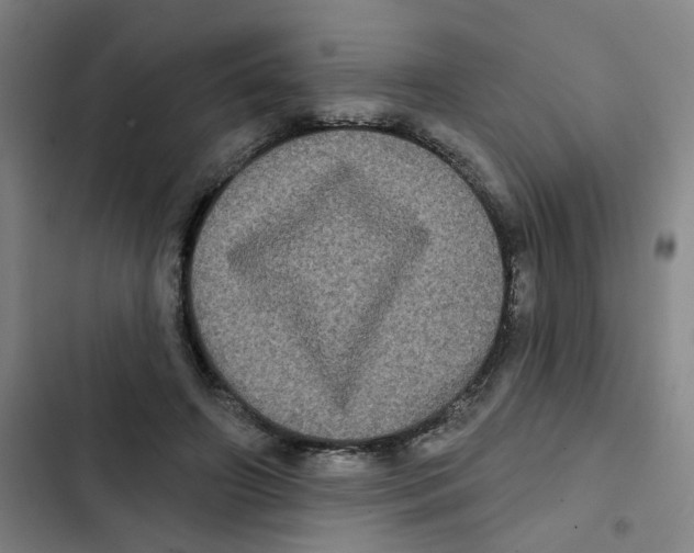 X0000102830498200809151043
