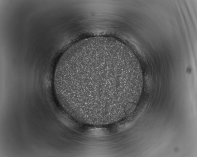 X0000102830499200809151043