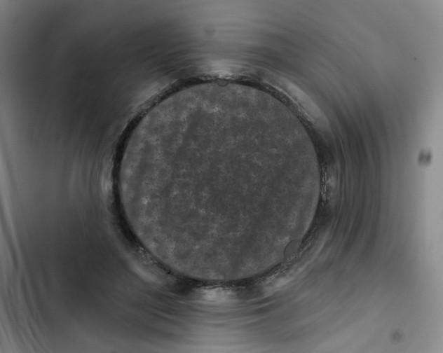 X0000102830500200809151043