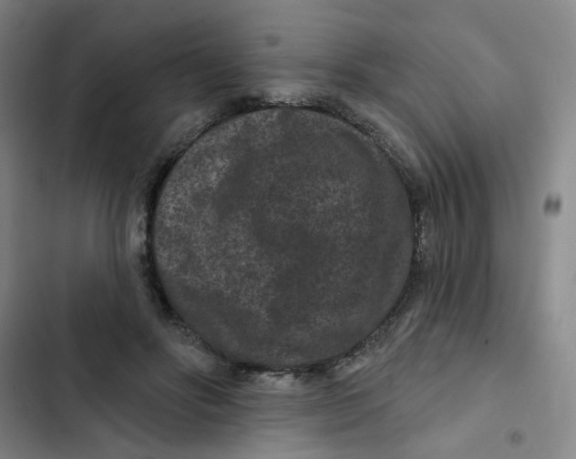 X0000102830502200809151043