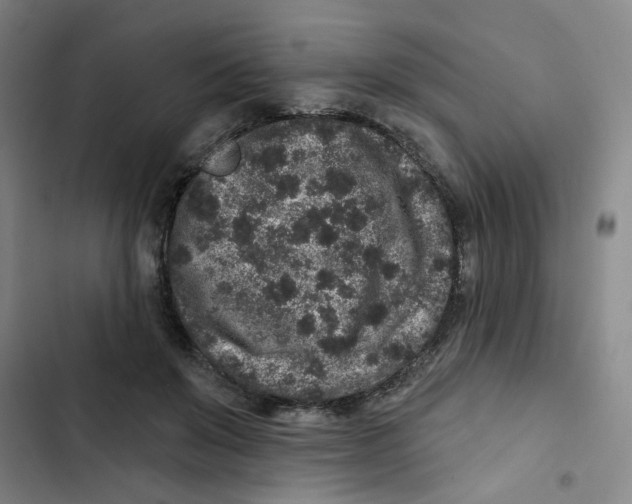 X0000102830503200809151043
