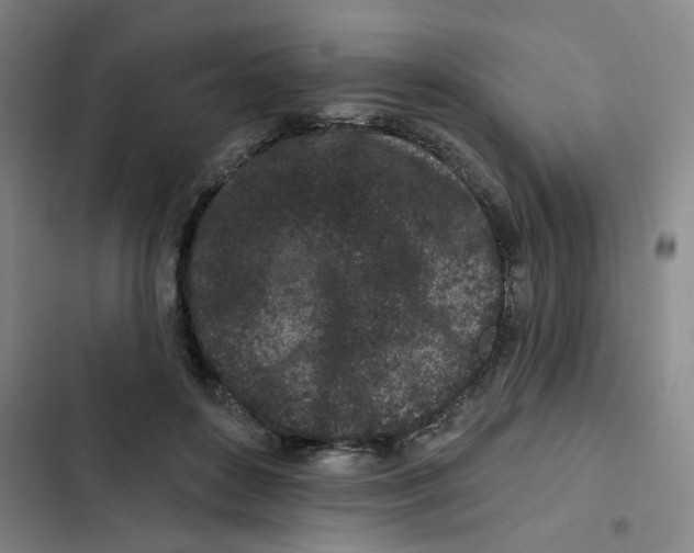 X0000102830504200809151043